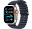 Apple Watch Ultra 2, 49 мм, Натуральный Титан, ремешок Ocean темно-синего цвета